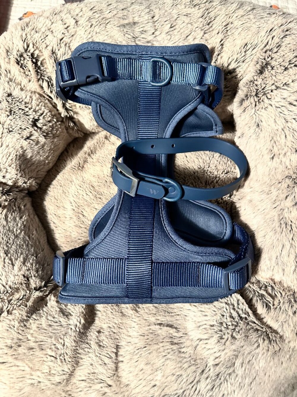 Wild One Cushioned Dog Harness and Waterproof Collar in Navy